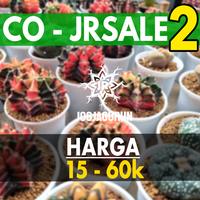 Gambar CO - JRSALE 2 - 30k dari JOGJAGURUN undefined 1 Tokopedia