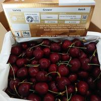 Gambar Cherry Tasmanian 43° South 2 kg premium/Buah Cherry Manis, Enak/Kado dari einstein toys shopp undefined 1 Tokopedia