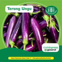 Gambar Terong ungu isi 3-4 pcs, Murah Makassar dari Pasar Bugis Bahagia undefined 1 Tokopedia