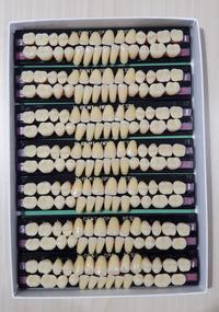 Gambar GIGI OPAL H DENT FULL SET, Hakusui Japan - FUL WR.6 UK.H5 dari hdent ortolux undefined 4 Tokopedia