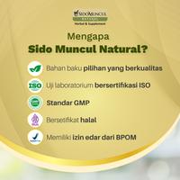 Gambar 2X Sido Muncul Natural Fish Oil Soft Capsule 50'k dari Sido Muncul Natural undefined 5 Tokopedia