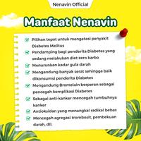 Gambar Cuka Nanas Nenavin Atasi Gula Darah 100% Halal Bpom Original - 1 Botol dari Nenavin Cuka Nanas undefined 5 Tokopedia