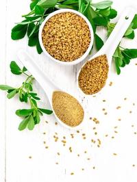 Gambar fenugreek powder 1 kg ( kelabat bubuk murni 100% ) dari Rempah Herbs Ingredients undefined 4 Tokopedia