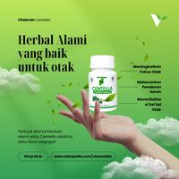 Gambar Vitamin Kecerdasan Otak Anak Cerdas Vitabrain Centella Herbal - Vitabrain dari VB Centella undefined 2 Tokopedia