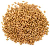 Gambar Fenugreek Seed 500 Gram / Biji Klabet / Kelabat Utuh 500 Gram dari Rempah Herbs Ingredients undefined 1 Tokopedia