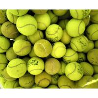 Gambar Fast Respon  BOLA TENIS BEKAS / BOLA BARU AFKIR / BOLA KASTI BEKAS - Baru Afkir dari balamantriatbrands undefined 3 Tokopedia