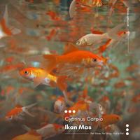 Gambar IKAN MAS PAKAN PREDATOR dari Animal Friends ID undefined 2 Tokopedia
