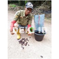 Gambar Teronas Tempat Perangkap Feromonas cmas Pengendali Ha Kumbang Tanduk dari Raynaa Store undefined 2 Tokopedia