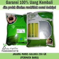 Gambar BIBIT/BENIH JAGUNG MANIS GULAKU 250 GRAM (PERMATA BARU) dari Abu Fahim Nasastore undefined 2 Tokopedia