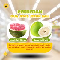 Gambar JERUK BALI PREMIUM GRADE A SUPER 1 BUAH dari Ada Hoki Makmur Mart undefined 3 Tokopedia
