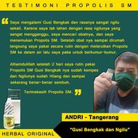 Gambar Propolis SM Herbal Obat Gigi Goyang Goyah, Obat Penguat Gigi Goyang Sakit Berdarah Gusi Mulut Merah - Isi 6ml dari Arsyherbalstore_NEW undefined 4 Tokopedia