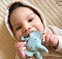 Gambar Cod !!! Itzy Ritzy | Ritzy Teether Teething Toy Baby Mainan Gigitan dari rossayani83 undefined 4 Tokopedia