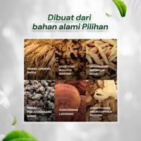 Gambar Obat Kanker Herbal | Ling Shen Yao | Kanker Kista Miom | Kapsul - 1 Strip dari Ling Shen Yao ID_NEW undefined 2 Tokopedia