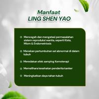 Gambar Obat Kanker Herbal | Ling Shen Yao | Kanker Kista Miom | Kapsul - 1 Strip dari Ling Shen Yao ID_NEW undefined 3 Tokopedia