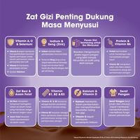 Gambar ANMUM LACTA SUSU NUTRISI IBU MENYUSUI PAKET ISI 5 x 400 GRAM dari Abizar Shop.official undefined 4 Tokopedia