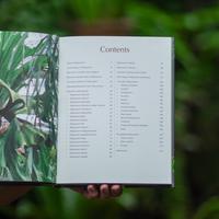Gambar Buku Import : Platycerium by Patrabooks dari fern&wonder undefined 2 Tokopedia