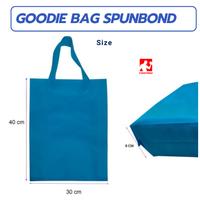 Gambar Goodie bag spunbond 30x40x8 cm tas kain  kantong belanja tas souvenir - Hijau Tua dari firstmed.id undefined 2 Tokopedia