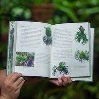 Gambar Buku Import : Platycerium by Patrabooks dari fern&wonder undefined 3 Tokopedia