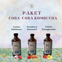 Gambar Paket Coba-Coba Kombucha Rasa Favorit - 3x330 ml - Pilih sendiri, 3 x 330ml dari Ramuraga.co undefined 1 Tokopedia