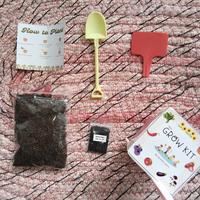 Gambar Grow kit/Gardening kit/Souvenir ultah anak/Mainan edukasi anak dari Bunciet Store undefined 2 Tokopedia