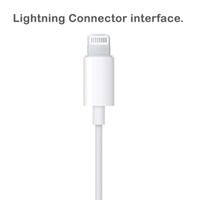 Gambar Earphone Lightning Iphone Original Headset Earpods Lightning dari CasCasStore undefined 3 Tokopedia