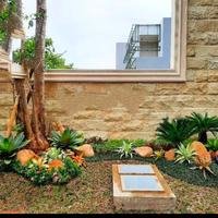 Gambar contoh taman depan rumah minimalis rumput kucai mini dari Ipva Jaya Florist undefined 2 Tokopedia