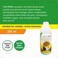 Gambar Obat Antibiotik Herbal Ternak Ayam "Cur-ZiPro" 500 ml dari PRADIPTA PARAMITA undefined 1 Tokopedia