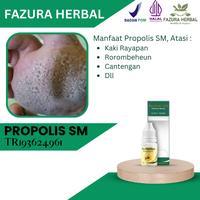 Gambar Propolis SM - Obat Kaki rayapan, Obat rorombeheun, Obat cantengan dari Fazura Herbal undefined 1 Tokopedia
