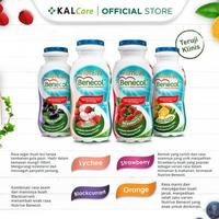 Gambar Nutrive Benecol Blackcurrant 6x100ml dari Gendingstore36 undefined 1 Tokopedia