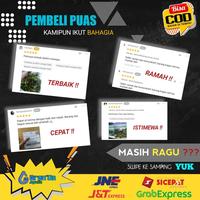 Gambar Rotala Bsd - Tanaman Tumbuhan Stamp Stem Aquascape dari tokomacu422 undefined 4 Tokopedia