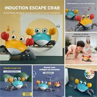 Gambar ! MAINAN ANAK BONEKA KEPITING SENSOR SUARA ~ VOICE WALKING TOY CRAB - - Hijau+3 Baterai dari DJAVA BOY&#39; undefined 2 Tokopedia