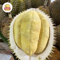Gambar Durian Lokal Spesial Nusantara 1 Buah Fresh Ukuran 1.5-2 kg Manis dan Garansi - 1,3 - 1,69 Kg dari JURAGAN DURIAN_NEW undefined 3 Tokopedia