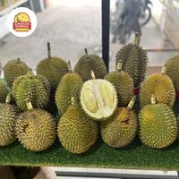 Gambar Durian Lokal Spesial Nusantara 1 Buah Fresh Ukuran 1.5-2 kg Manis dan Garansi - 1,3 - 1,69 Kg dari JURAGAN DURIAN_NEW undefined 1 Tokopedia