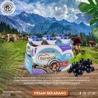 Gambar Gk_ Nutrive Benecol untuk Kolesterol 6 × 100ml Nutrive Fiber shot 6 ×100ml dari kasturi505 undefined 2 Tokopedia