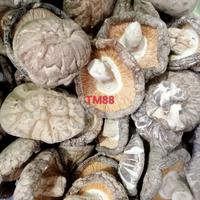 Gambar Jamur Hioko Shitake Xiang Gu SiangKu Kering Mushroom 100 Gram dari Estoreid13 undefined 2 Tokopedia