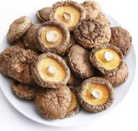 Gambar Jamur Hioko Shitake Xiang Gu SiangKu Kering Mushroom 100 Gram dari Estoreid13 undefined 1 Tokopedia