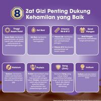 Gambar Anmum Materna Susu Bubuk Cokelat 2x 400g - Susu Ibu Hamil dari kasbegaj undefined 4 Tokopedia
