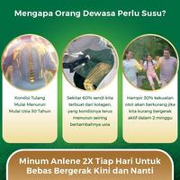 Gambar SUKA ANLENE GOLD 5X SUSU BUBUK DEWASA COKELAT 850G - TULANG & SENDI dari makansukasuka undefined 3 Tokopedia