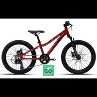 Gambar Sepeda MTB 20" Polygon Relic 20an TERBARU dari DavidBikeStore99 undefined 2 Tokopedia