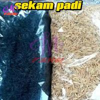 Gambar SEKAM PADI BAKAR MEDIA TANAM dari KEBUN ANGGUR MAHREEN FARM undefined 1 Tokopedia