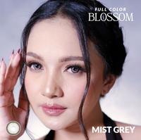 Gambar Soflen Soflens  Softlen Softlens Korea China Cina 15 mm Kekinian BLOSSOM Cherry by VISICARE - Mist Grey, -2.50 dari matasyantik.id undefined 3 Tokopedia
