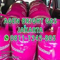Gambar BRIGHT GAS PINK 12KG PLUS ISI dari Agen Bright Gas Galaxy Bekasi undefined 2 Tokopedia