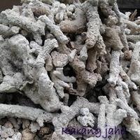 Gambar JUAL Batu karang jahe / batu laut 1kg dari NUSANTARA IND_NEW undefined 3 Tokopedia