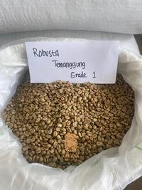 Gambar GREEN BEAN ROBUSTA TEMANGGUNG G1 dari kelana roaster_NEW undefined 1 Tokopedia