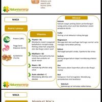 Gambar Organic maca powder 100 gram dari tokowijayaglc undefined 4 Tokopedia