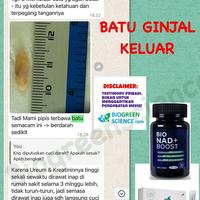 Gambar 1  BOTOL BIOMILD BIOGREEN BIO SC MILD ISI 60 KAPSUL READY EXP TERBARU dari Anekajaya_88 undefined 2 Tokopedia