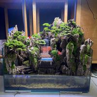 Gambar paludarium dari M.R.Aquascape undefined 1 Tokopedia