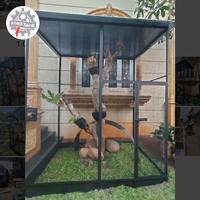 Gambar Kandang Burung Aviary Kotak Super Besar Full Besi Galvanis Anti Karat dari Zikry Abadi Teknik undefined 3 Tokopedia