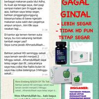 Gambar 1  BOTOL BIOMILD BIOGREEN BIO SC MILD ISI 60 KAPSUL READY EXP TERBARU dari Anekajaya_88 undefined 3 Tokopedia