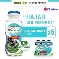 Gambar New Nutrive Benecol Blackcurrant 6'S Best Seller dari Mala Groce undefined 1 Tokopedia